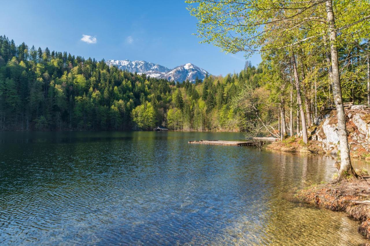 Alpenparks Hagan Lodge Алтаусзее Екстериор снимка